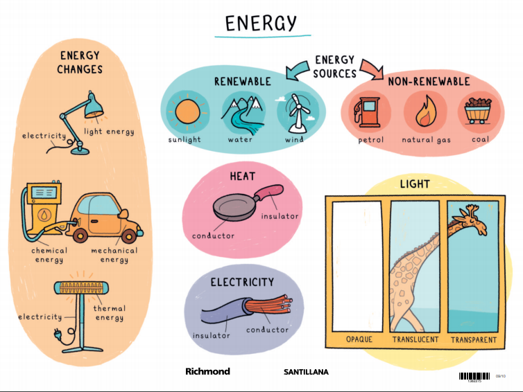 NATURAL SCIENCE Colegio Acaymo. 4º Primaria